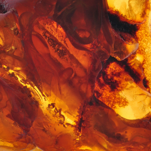 SIMILAR TO VF6161 Velvet Musk