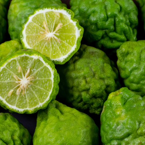 SIMILAR TO 8008 Essenza Z